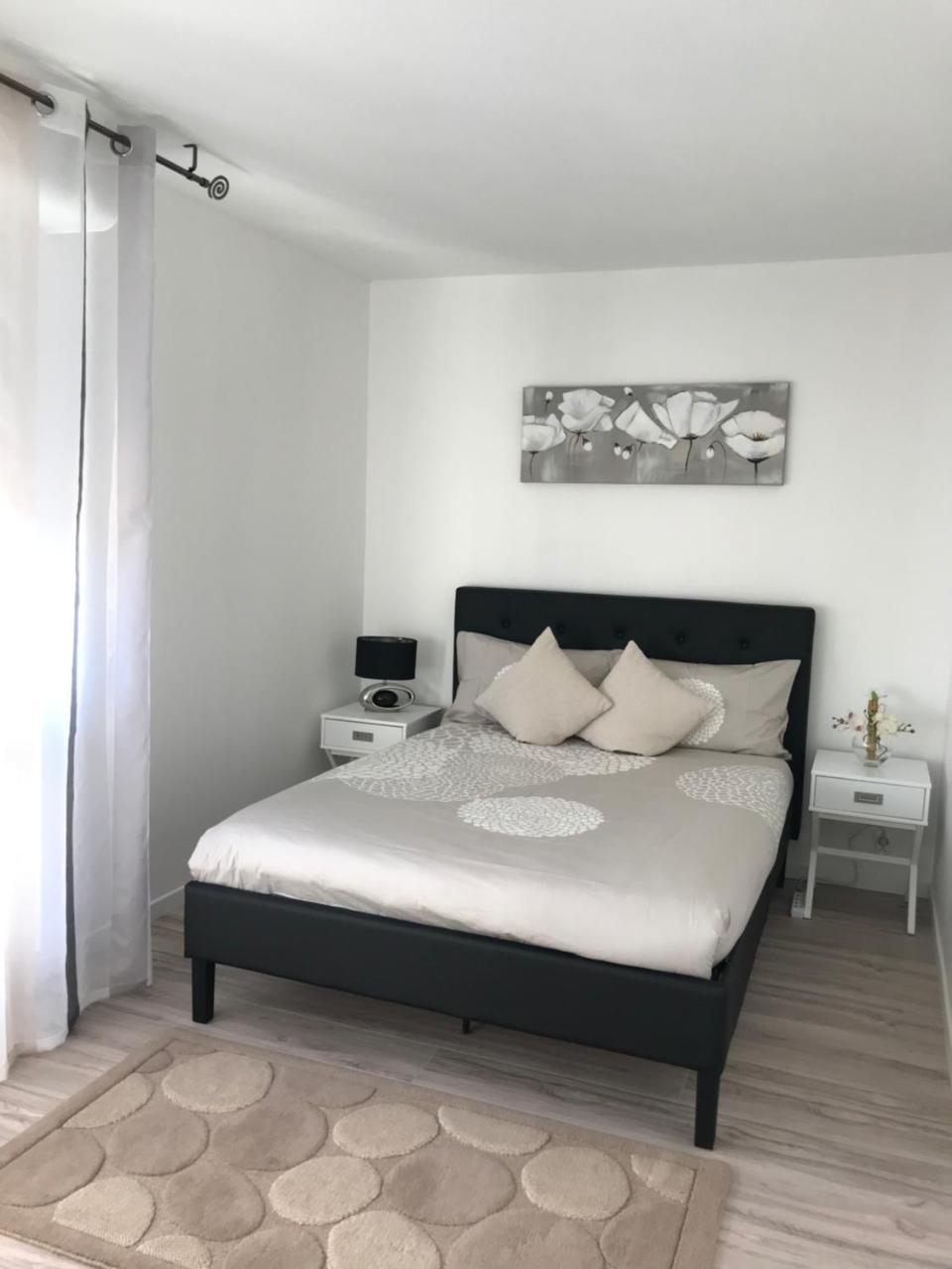 Roanne-Centre Appartement エクステリア 写真